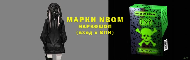 шишки Алзамай