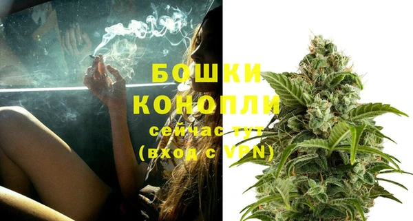 бошки Алексин