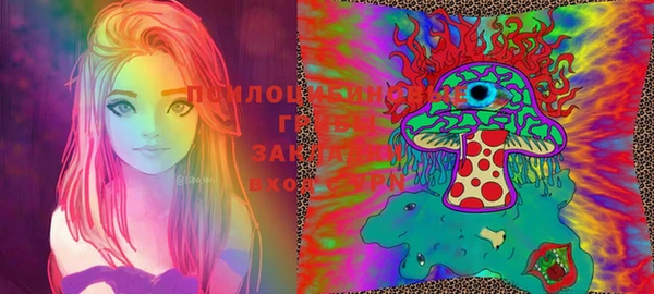 шишки Алзамай